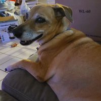 Iris Esther López RIP Bandit 🌈 (@irisesther54) 's Twitter Profile
