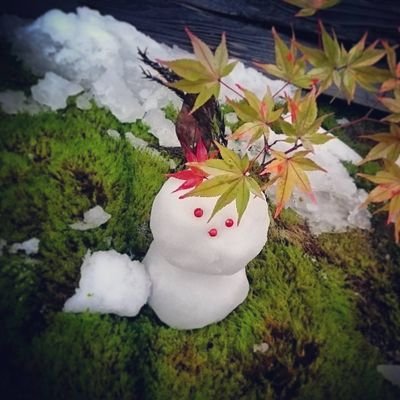 omochitoBdm03's profile picture. 善徳女王のピダムに落ちました💘キム・ナムギル氏の笑顔は最高にステキです。ナムギルさんのアクション大好き。垢分けしました。2024.11〜FC入会。無言フォロー失礼します。韓国ドラマも少し見てます。ドラマはラブコメが多め。韓国行きたい✈️BIGBANGから韓国に浸かってます👑