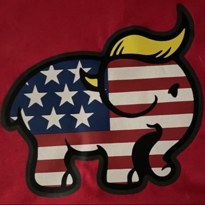 TexasJohnFW's profile picture. Lover of Liberty and Freedom /Conservative/Trumplican/Retired Military/ Precinct Chair/No DMs unless I know you personally.