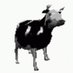 Official Polish Cow Meme (@polishcowmemee) Twitter profile photo Official Polish Cow Meme (@polishcowmemee) Twitter profile photo