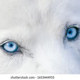 I Submit To One; I Kneel To None
Seeker Of Truth and Freedom
Compassionate Caregiver Love My Family, My Motley Crue :) The Journey is a Lifetime
Peace and Love