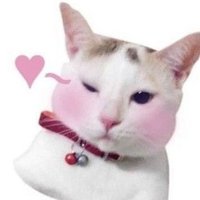 Ω (@ayayacore) 's Twitter Profile Photo Ω (@ayayacore) 's Twitter Profile Photo