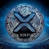 ░X░R░P░F░A░N░S░ (@cryptog70377583) 's Twitter Profile