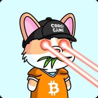 Weulth (@weulth35650) 's Twitter Profile