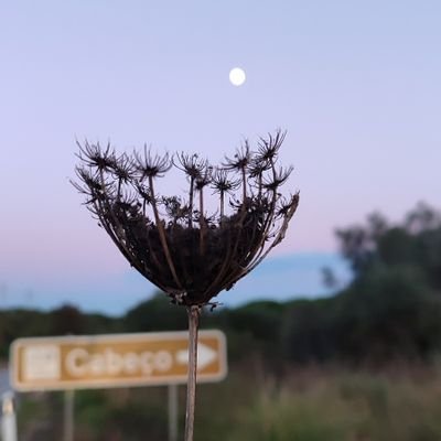 SagarPa00979548's profile picture. जिन्दगी हज्मोल हो जे आउँछ मजा ले पचाउछ्😋😋