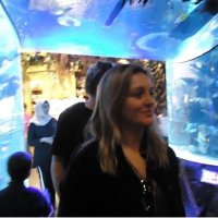 Re (@reheitmann) 's Twitter Profile