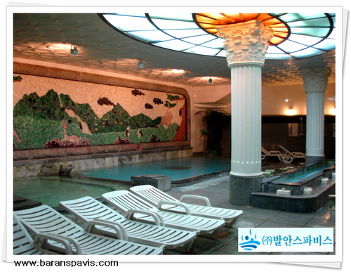 baranspavis's profile picture. 아토피 피부미용에 좋은 발안식염온천입니다. ^^