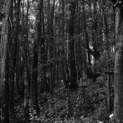 EAAAtzin's profile picture. Amante del cine y la literatura, futuro comunicólogo.   Nacido con la luna en Cáncer