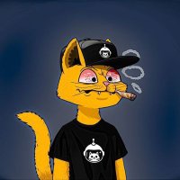 Fernando Ferez (@fernando_ferez8) 's Twitter Profile