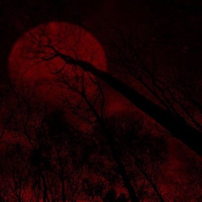 ZXNT137's profile picture. 