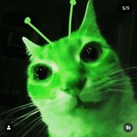 Eddy (@into_all_dmme) 's Twitter Profile