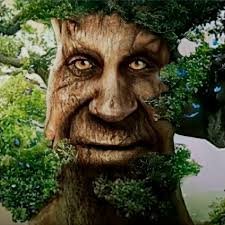 🌳🌳🌳🌳🌳🌳🌳🌳🌳🌳🌳
-14 (will update on my birthday
-autistic
-certified dumbass
-somewhat an artist
-discord tag: cookieton2637
🌳🌳🌳🌳🌳🌳🌳🌳🌳🌳🌳