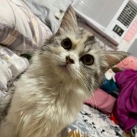 PrincessBabb (@indaeyobabb) 's Twitter Profile