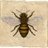 bumblebank's profile image