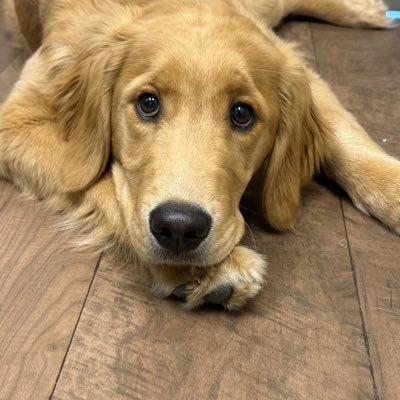 ayyyitsOC20's profile picture. 