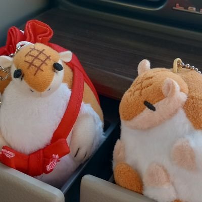 みみさんのプロフィール画像