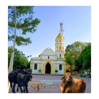 proyecto local Pivijay (@pivijaypl) 's Twitter Profile