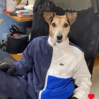 Tripod, Pharm.D. (@vapenapo) 's Twitter Profile