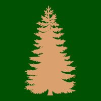 Old North Patriots (@oldnorthpats) 's Twitter Profile Photo Old North Patriots (@oldnorthpats) 's Twitter Profile Photo