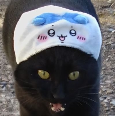 ryoryochan4's profile picture. エフフォーリアは僕のヒーロー