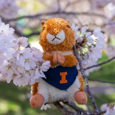 Mit Profile