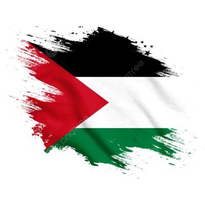 Hamed13408402's profile picture. Free Palestine 🍉🇵🇸