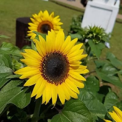 In_Doen_'s profile picture. ini akun cuma buat baca AU