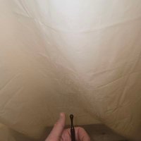 J Ladder (@spicyladder) 's Twitter Profile