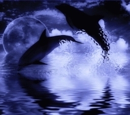 bluekarma's profile picture. 