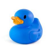 Demoquacksπππ (@demoquacks222) 's Twitter Profile