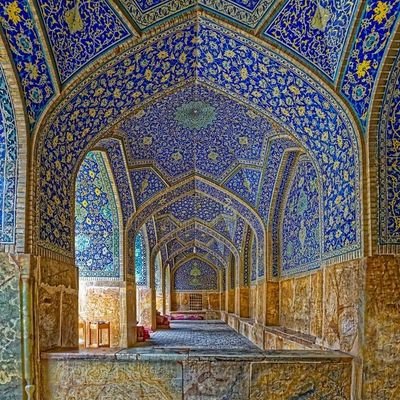 anon_5628's profile picture. 