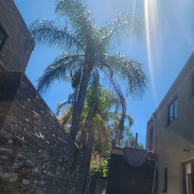 Joeyr888's profile picture. 