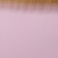 BisexualesXalapeños (@jorgeyvalexal) 's Twitter Profile