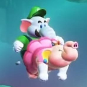 Dirtydoo081777's profile picture. 第四次重開了乾
看片用