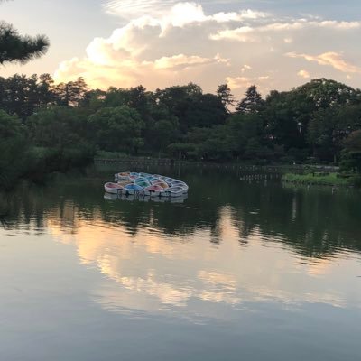 nao_bsweet's profile picture. 🦢🌂🐌🦚🦔🧸🌸🎡 元写真部のキリトリセカイ🦆風景パシャが多い📷