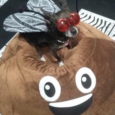 DaemonHOD's profile picture. 