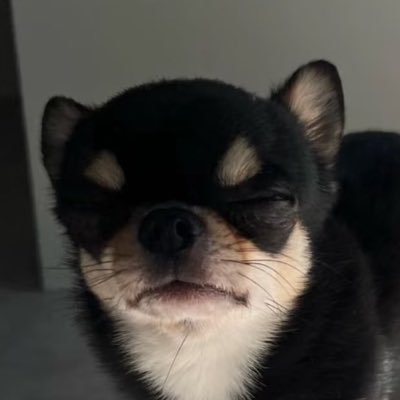 尹鱿鱼さんのプロフィール画像
