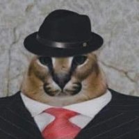 f (@fallquitor) 's Twitter Profile