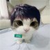 I am Kalsz (@kalszi56926) Twitter profile photo