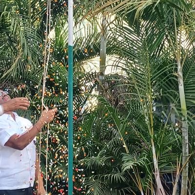 SeTsnpdcl's profile picture. 