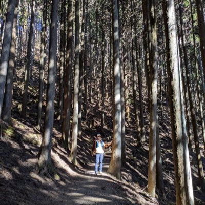 税理士(簿財法消相)|R5年中小企業診断士試験合格・R7年2月登録|その他資格(宅建士・AFP等)|税理士(5科目TAC通学)・診断士(EBA通学・ほらっち塾)|税理士法人|野球観戦|筋トレ|ランニング|読書|新たな学びに挑戦中📚