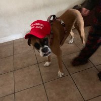 Anthony (@anthony617512) 's Twitter Profile Photo