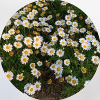 monami (@kiroku_library) 's Twitter Profile