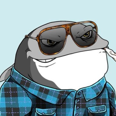 freyja__3991's profile picture. Software Engineer & co-founder of The Whales and Coll3ctibles