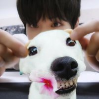 ★ the SKANK is on fire (@atefourohzero4) 's Twitter Profile