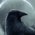 Raven Rampage (@ravenonarampage) Twitter profile photo Raven Rampage (@ravenonarampage) Twitter profile photo