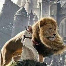 susanaamundsen's profile picture. May God bless America ❤️🇺🇸 100% support President Trump! RIP Charlie. Christ is King.