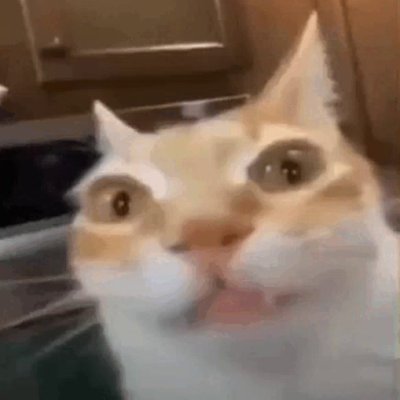 The voices in my head started a discord server
I do multimedia stuffs for a living
https://t.co/Qs24fDmz7z