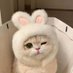 bunnycat (🇹🇭+🇯🇵) (@tametimu) Twitter profile photo bunnycat (🇹🇭+🇯🇵) (@tametimu) Twitter profile photo