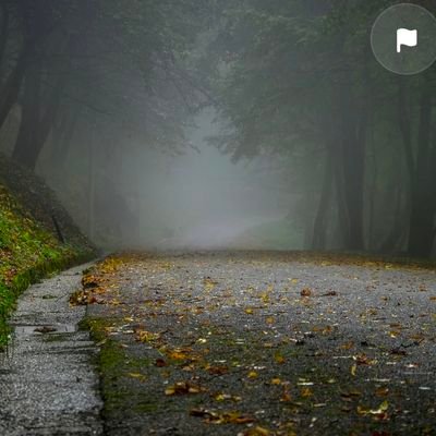 SachinGadagin's profile picture. God is reflected in every leaf, every breeze, and every mountain peak; nature is His divine canvas. In the rhythms of the earth, we glimpse the heartbeat of the